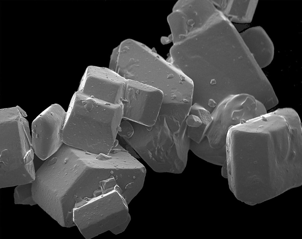 Sugar grains